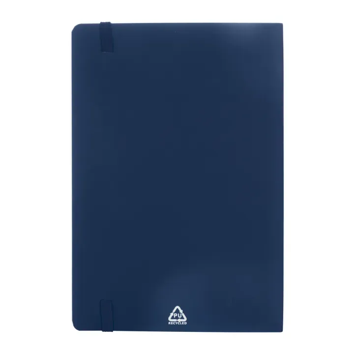 RPU notebook - AP808172 (ANDA#06A)